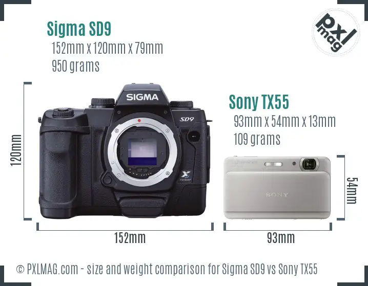 Sigma SD9 vs Sony TX55 size comparison
