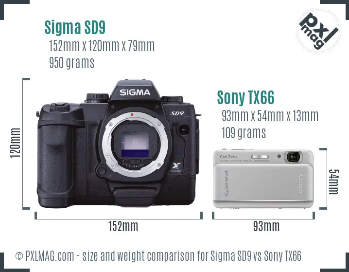 Sigma SD9 vs Sony TX66 size comparison