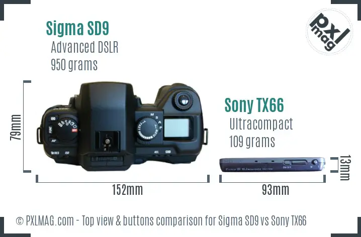 Sigma SD9 vs Sony TX66 top view buttons comparison