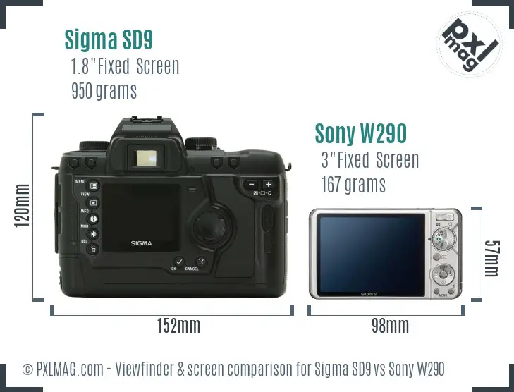 Sigma SD9 vs Sony W290 Screen and Viewfinder comparison