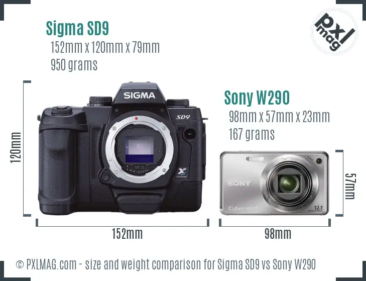 Sigma SD9 vs Sony W290 size comparison