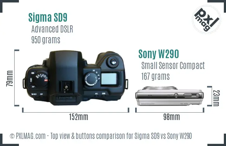 Sigma SD9 vs Sony W290 top view buttons comparison