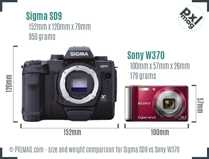 Sigma SD9 vs Sony W370 size comparison