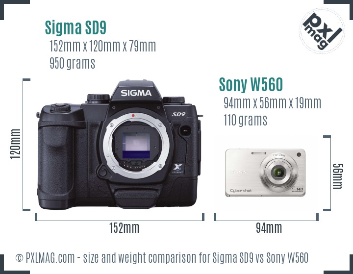 Sigma SD9 vs Sony W560 size comparison