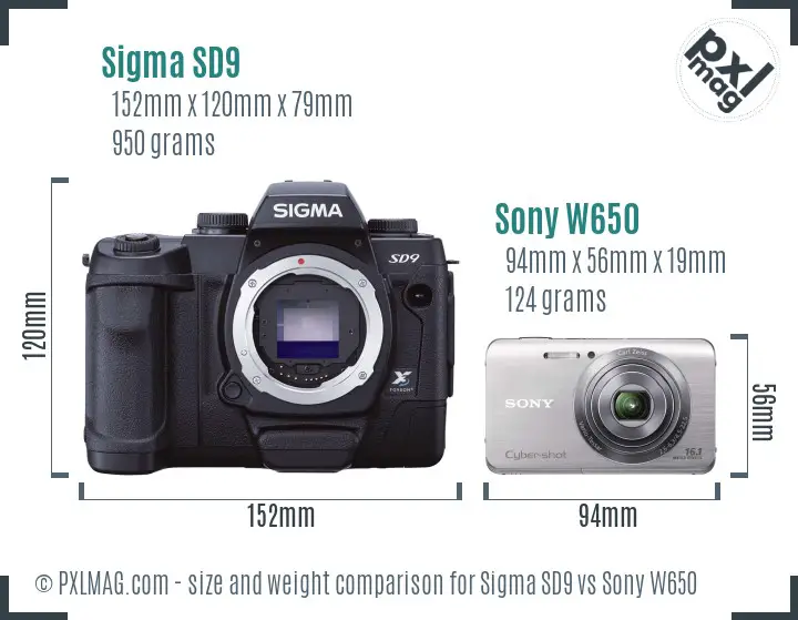 Sigma SD9 vs Sony W650 size comparison