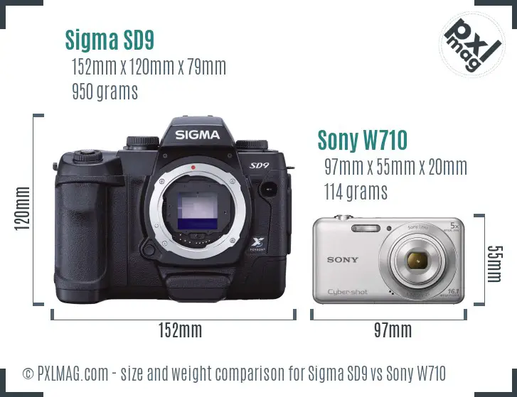 Sigma SD9 vs Sony W710 size comparison