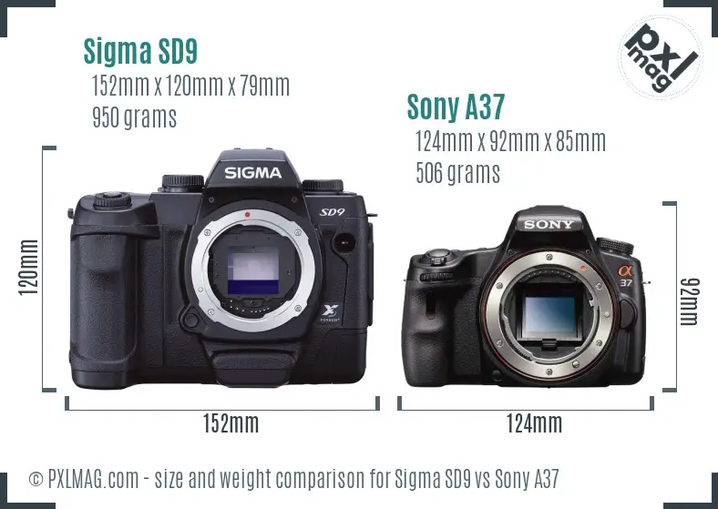 Sigma SD9 vs Sony A37 size comparison