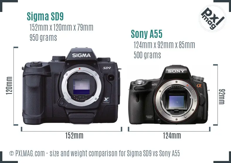 Sigma SD9 vs Sony A55 size comparison