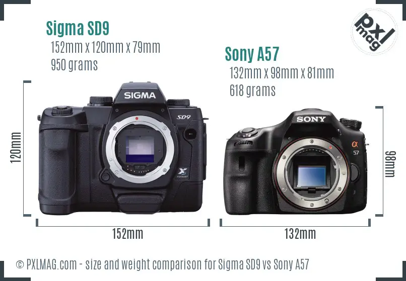 Sigma SD9 vs Sony A57 size comparison