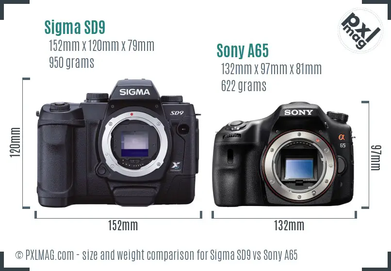 Sigma SD9 vs Sony A65 size comparison
