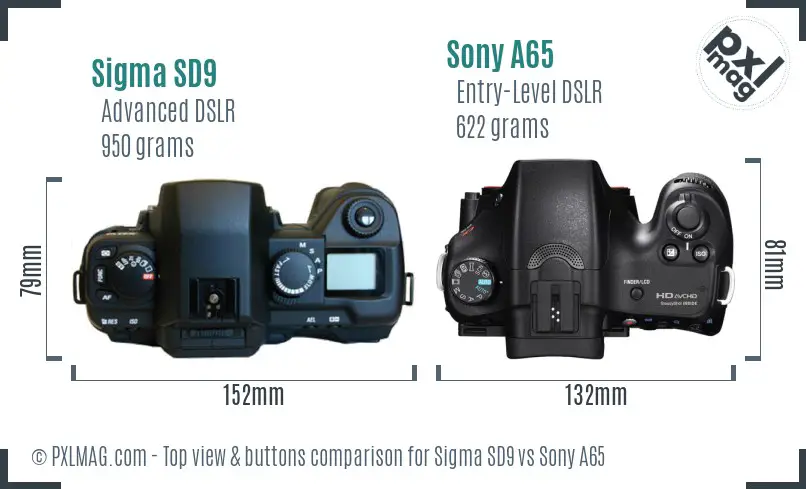 Sigma SD9 vs Sony A65 top view buttons comparison