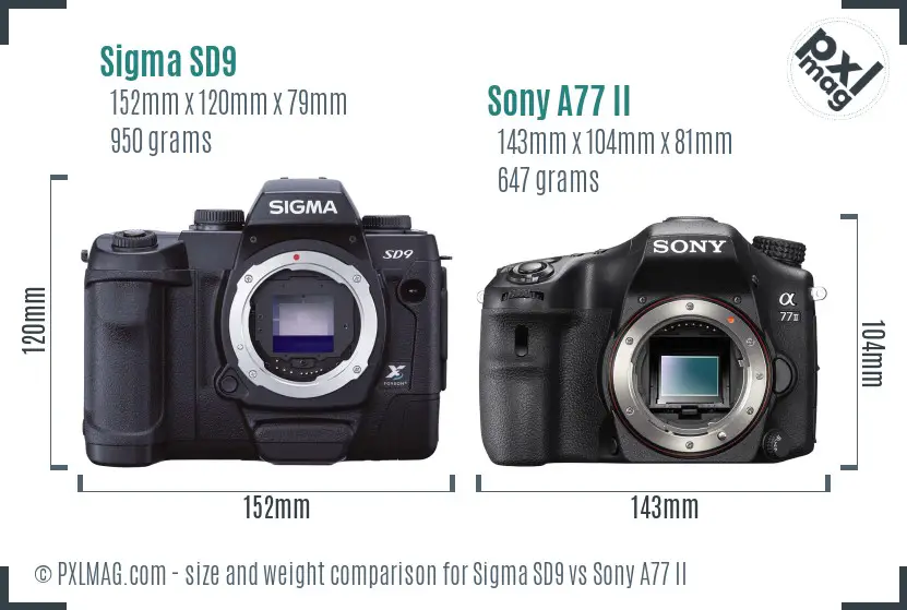Sigma SD9 vs Sony A77 II size comparison