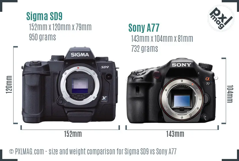 Sigma SD9 vs Sony A77 size comparison