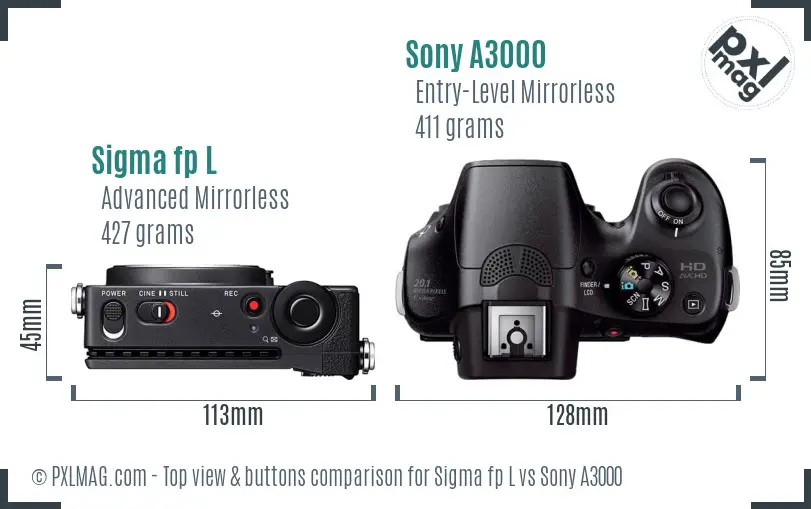 Sigma fp L vs Sony A3000 top view buttons comparison