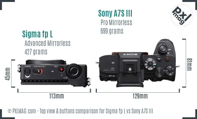 Sigma fp L vs Sony A7S III top view buttons comparison