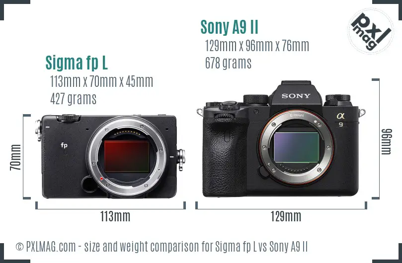 Sigma fp L vs Sony A9 II size comparison