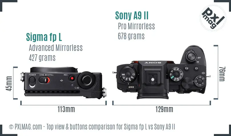 Sigma fp L vs Sony A9 II top view buttons comparison