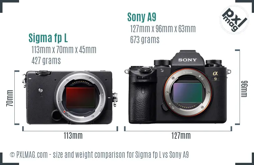 Sigma fp L vs Sony A9 size comparison