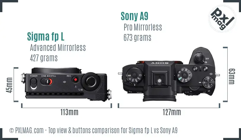 Sigma fp L vs Sony A9 top view buttons comparison
