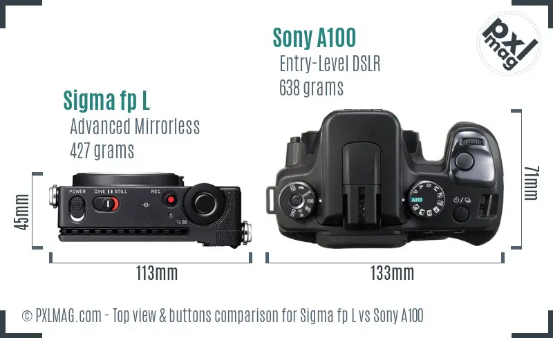 Sigma fp L vs Sony A100 top view buttons comparison