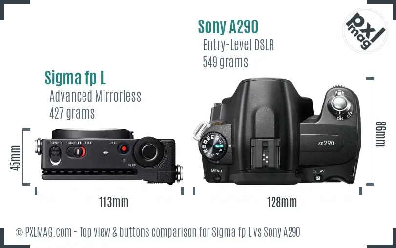 Sigma fp L vs Sony A290 top view buttons comparison