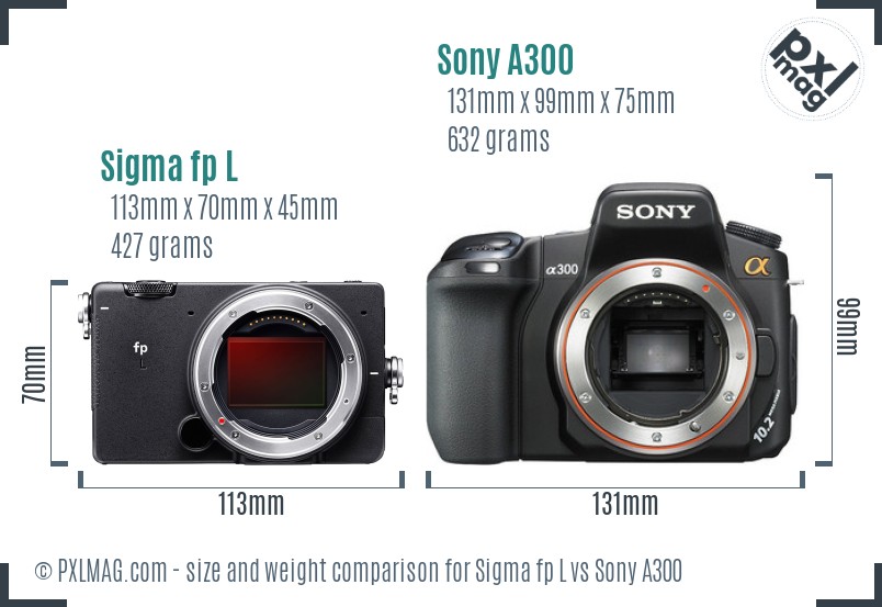 Sigma fp L vs Sony A300 size comparison