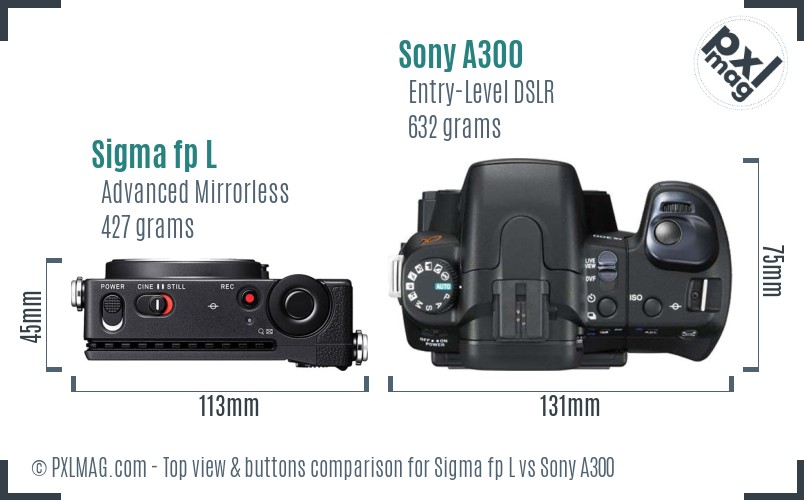 Sigma fp L vs Sony A300 top view buttons comparison