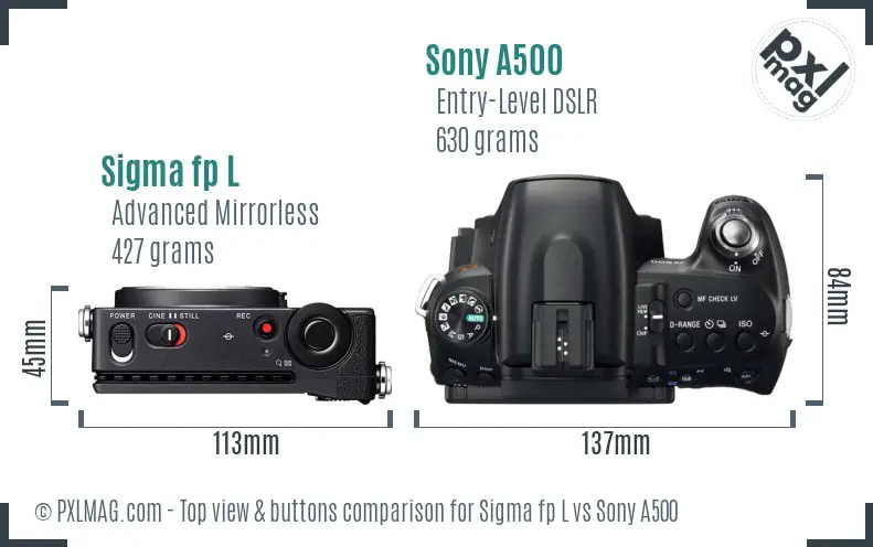 Sigma fp L vs Sony A500 top view buttons comparison