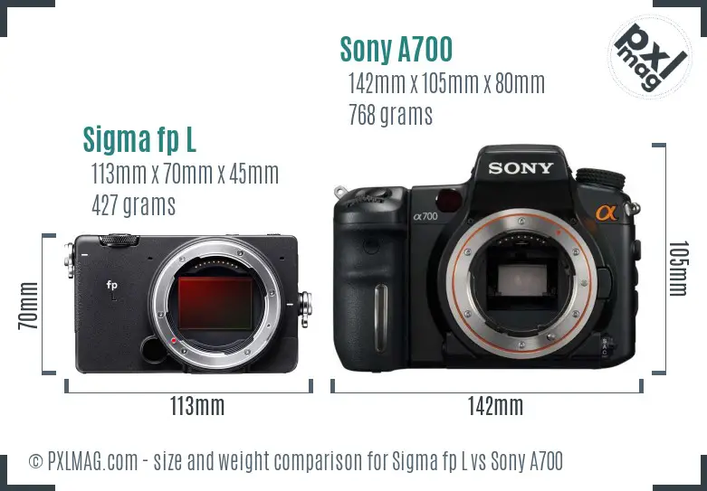 Sigma fp L vs Sony A700 size comparison
