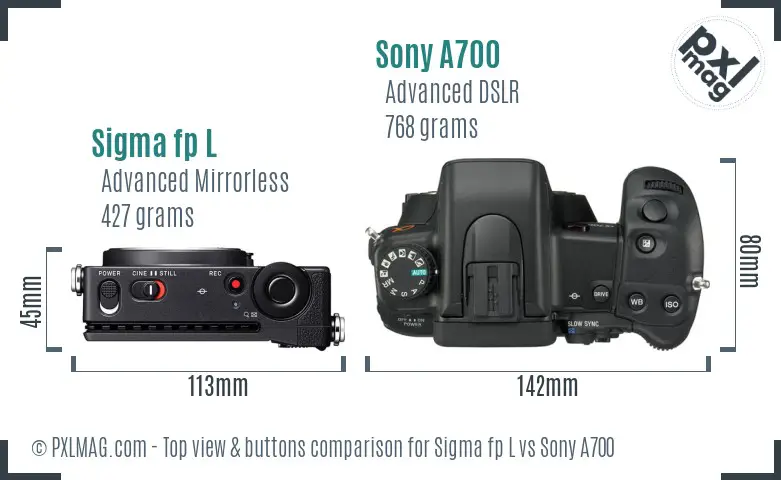 Sigma fp L vs Sony A700 top view buttons comparison