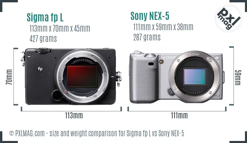 Sigma fp L vs Sony NEX-5 size comparison