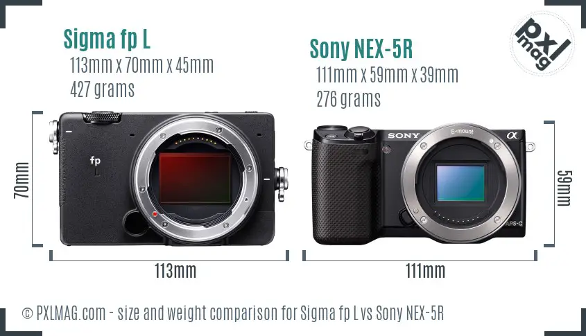 Sigma fp L vs Sony NEX-5R size comparison