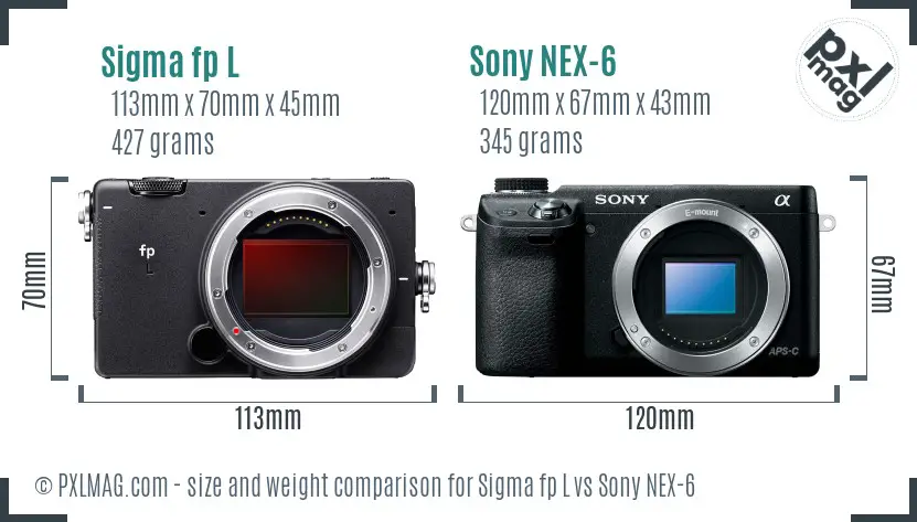 Sigma fp L vs Sony NEX-6 size comparison