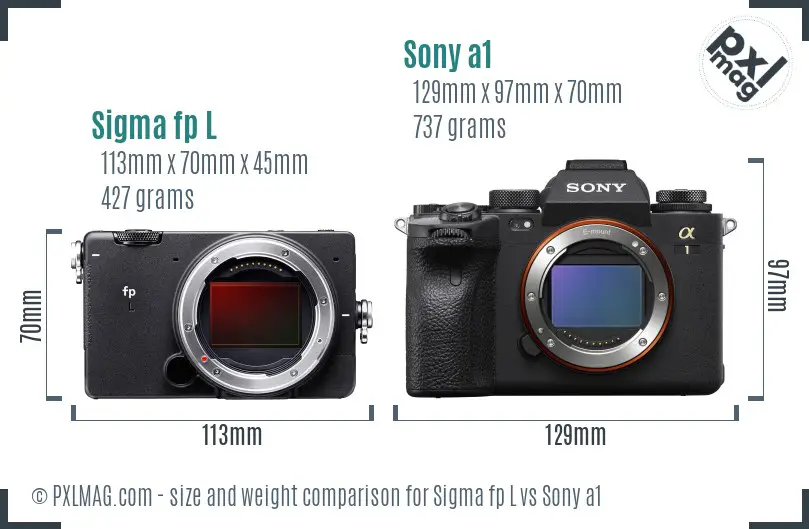 Sigma fp L vs Sony a1 size comparison