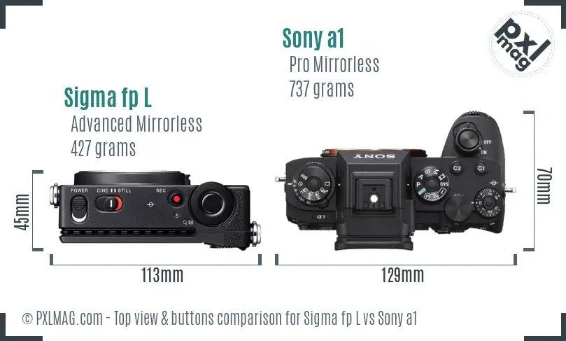 Sigma fp L vs Sony a1 top view buttons comparison