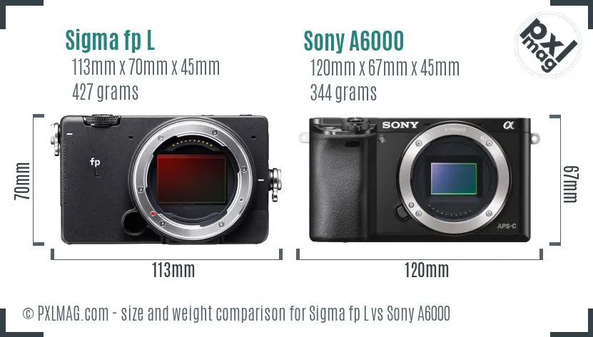Sigma fp L vs Sony A6000 size comparison