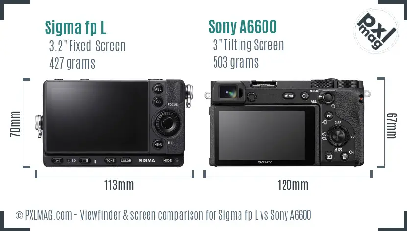 Sigma fp L vs Sony A6600 Screen and Viewfinder comparison