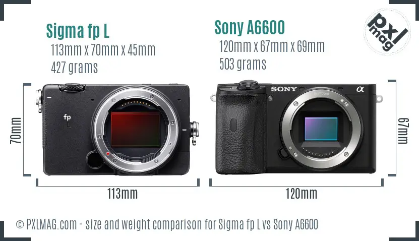 Sigma fp L vs Sony A6600 size comparison