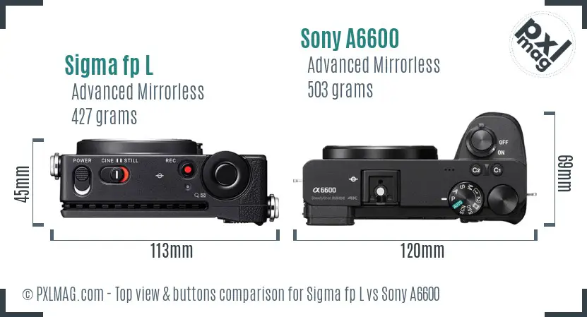 Sigma fp L vs Sony A6600 top view buttons comparison
