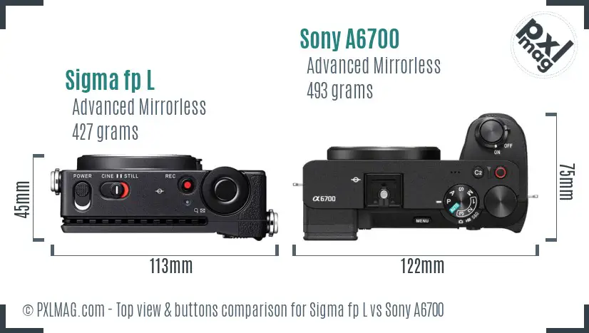 Sigma fp L vs Sony A6700 top view buttons comparison
