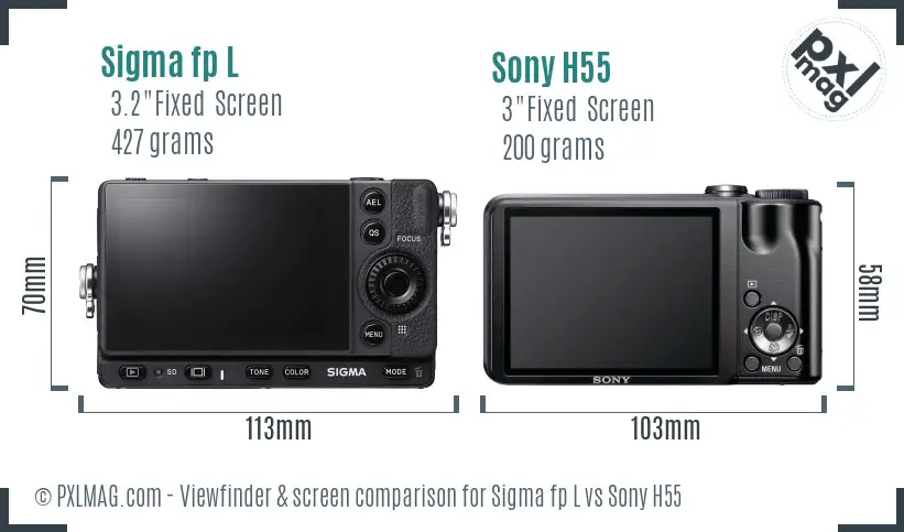 Sigma fp L vs Sony H55 Screen and Viewfinder comparison