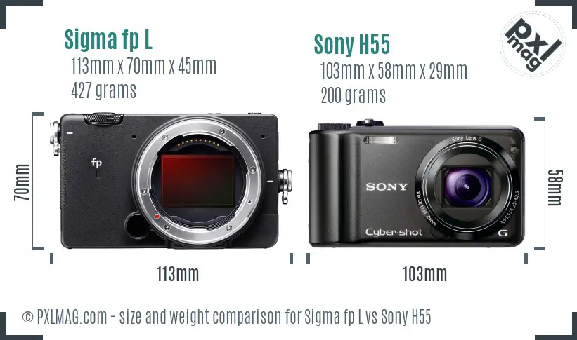 Sigma fp L vs Sony H55 size comparison Sigma fp L vs Sony H55 size comparison