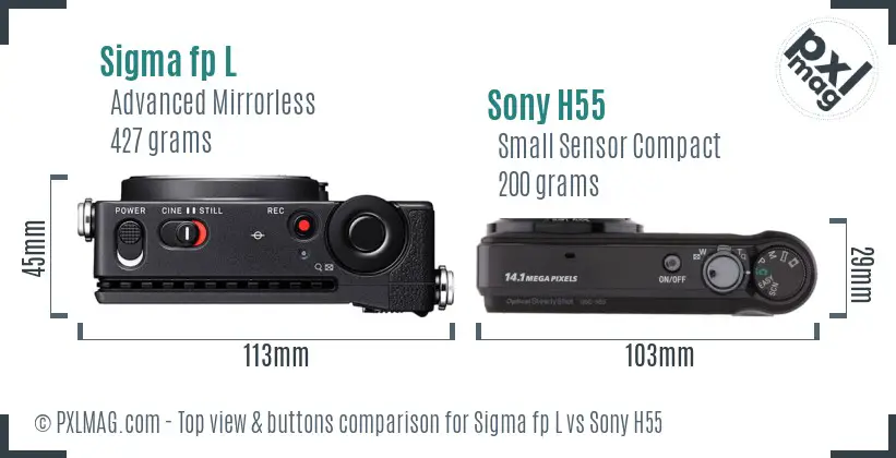 Sigma fp L vs Sony H55 top view buttons comparison