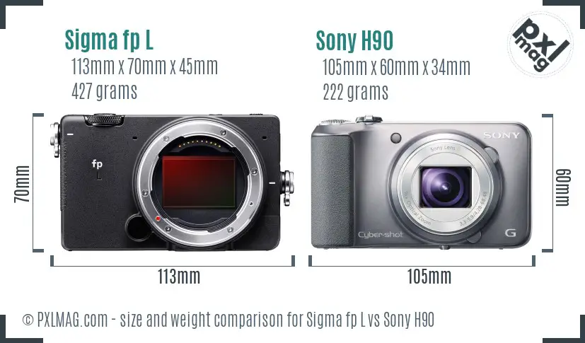 Sigma fp L vs Sony H90 size comparison