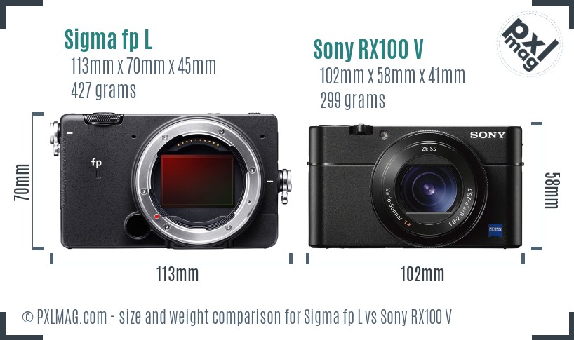 Sigma fp L vs Sony RX100 V size comparison Sigma fp L vs Sony RX100 V size comparison