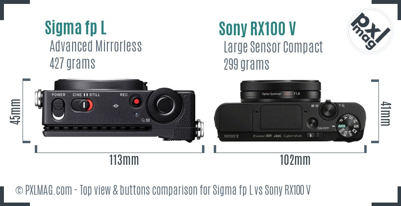 Sigma fp L vs Sony RX100 V top view buttons comparison