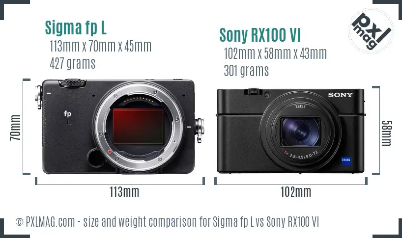 Sigma fp L vs Sony RX100 VI size comparison