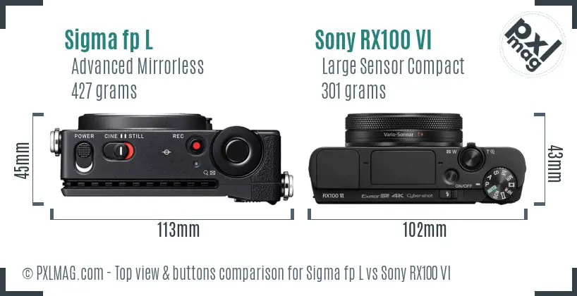 Sigma fp L vs Sony RX100 VI top view buttons comparison