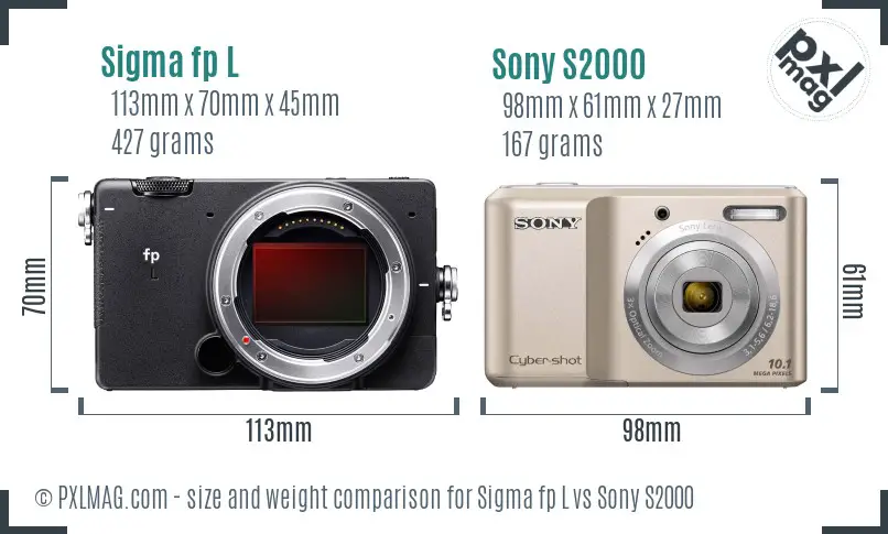 Sigma fp L vs Sony S2000 size comparison