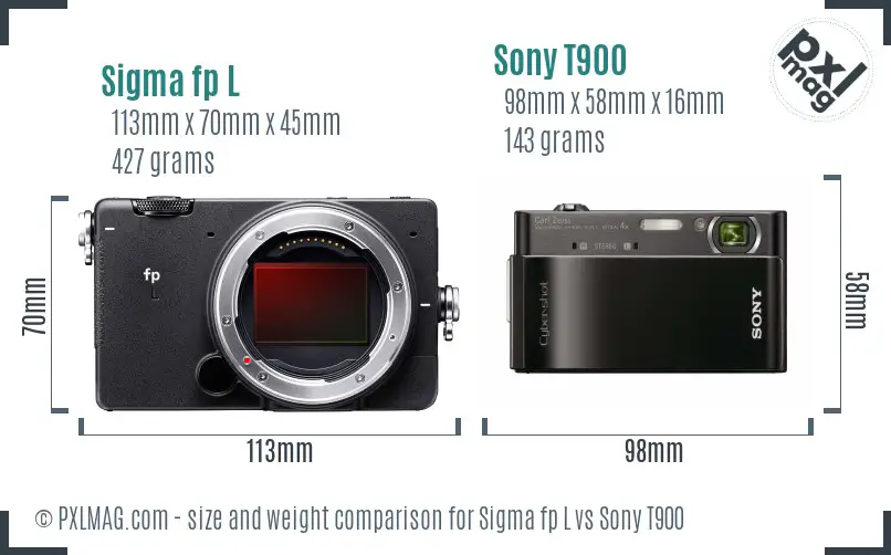 Sigma fp L vs Sony T900 size comparison